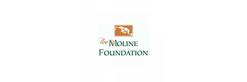 Moline Foundation